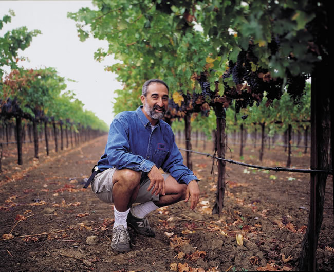 Winemaker, Tom Rinaldi